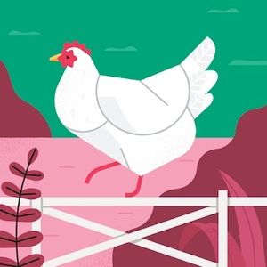 Meet your Posher, Sabrina